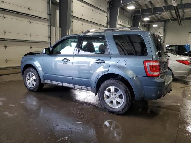 2011 Ford Escape Limited