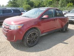 Ford Vehiculos salvage en venta: 2013 Ford Edge SEL