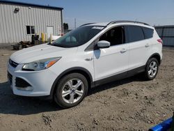 Salvage cars for sale at Airway Heights, WA auction: 2014 Ford Escape SE