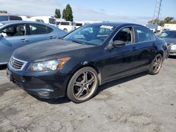 Salvage cars for sale at Vallejo, CA auction: 2010 Honda Accord EXL