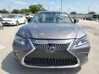 2020 Lexus ES 300H