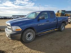 Salvage trucks for sale at Nisku, AB auction: 2011 Dodge RAM 1500