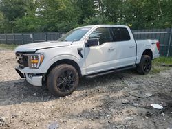 Salvage cars for sale at Candia, NH auction: 2023 Ford F150 Supercrew