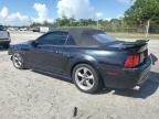 2002 Ford Mustang GT