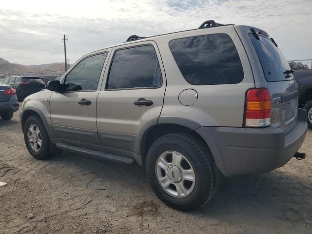 2001 Ford Escape XLT