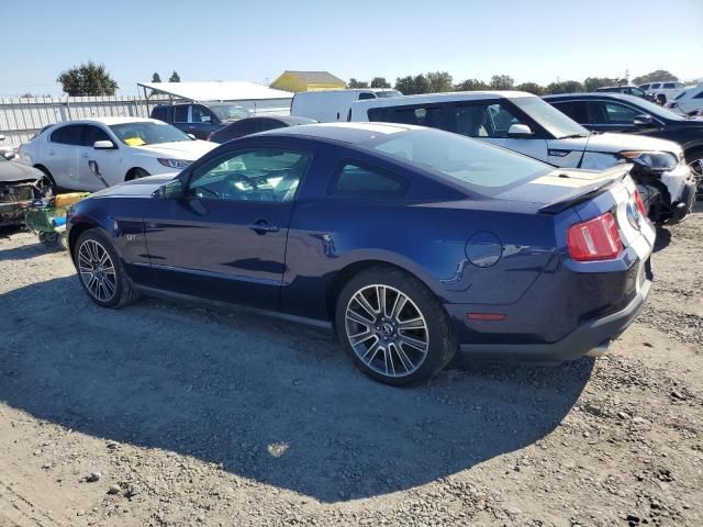 2010 Ford Mustang GT