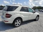 2010 Mercedes-Benz ML 350 4matic