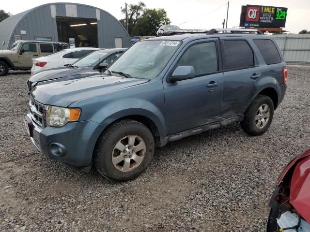 2010 Ford Escape Limited