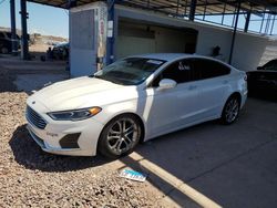 Salvage cars for sale at Phoenix, AZ auction: 2019 Ford Fusion SEL