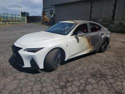 Salvage cars for sale at Kapolei, HI auction: 2021 Lexus IS 350 F Sport