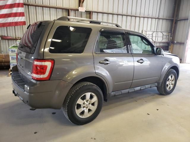 2011 Ford Escape Limited