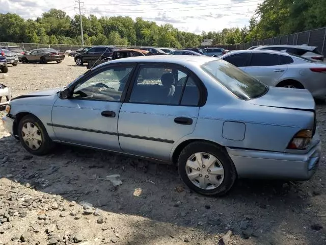 1995 Toyota Corolla LE