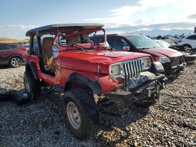 1993 Jeep Wrangler / YJ S