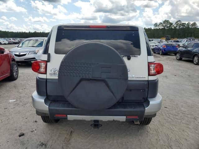 2010 Toyota FJ Cruiser