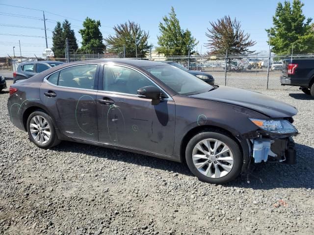 2014 Lexus ES 300H