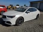 2019 Acura TLX Technology