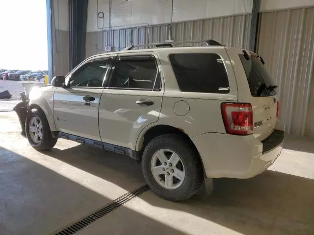 2011 Ford Escape Hybrid