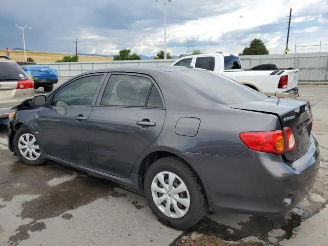 2010 Toyota Corolla Base