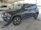 2019 Jeep Renegade Trailhawk