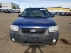 2007 Ford Escape XLT