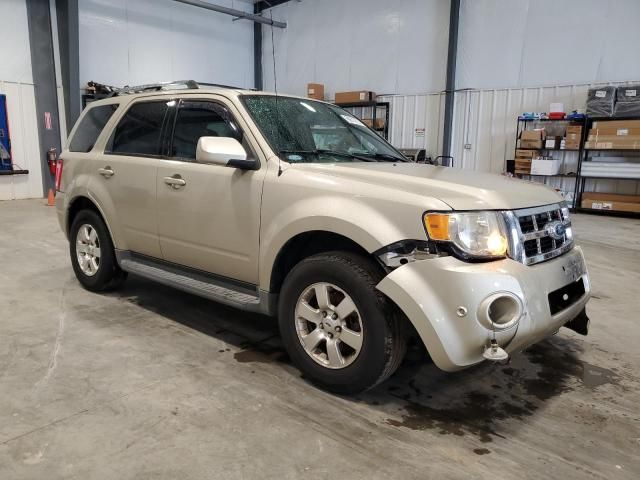 2011 Ford Escape Limited