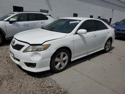 Salvage cars for sale at Farr West, UT auction: 2010 Toyota Camry Base