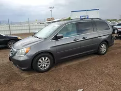 Salvage cars for sale at Colorado Springs, CO auction: 2010 Honda Odyssey EXL