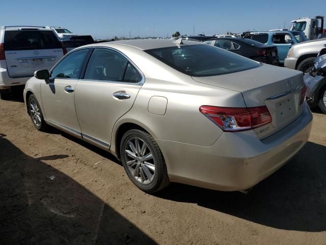 2010 Lexus ES 350