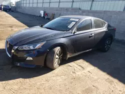 Salvage cars for sale at Albuquerque, NM auction: 2021 Nissan Altima SV