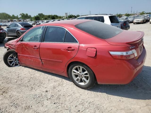 2009 Toyota Camry Hybrid