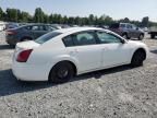 2004 Nissan Maxima SE