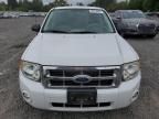 2008 Ford Escape HEV