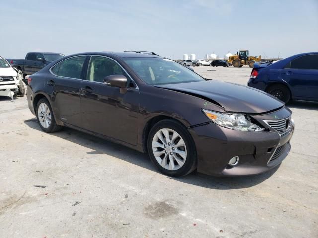 2013 Lexus ES 300H