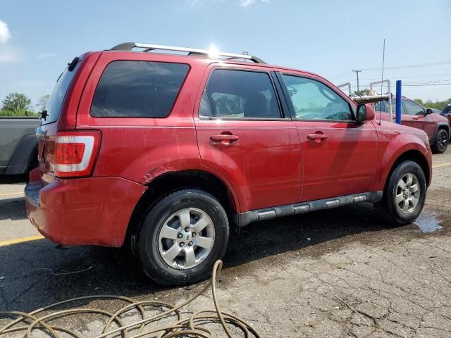 2010 Ford Escape Limited