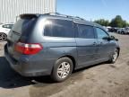 2006 Honda Odyssey EXL