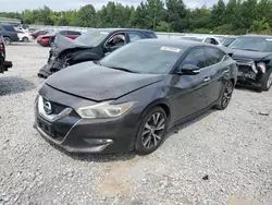 Salvage cars for sale at Memphis, TN auction: 2016 Nissan Maxima 3.5S