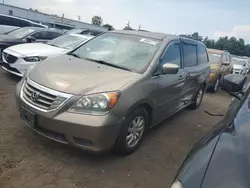 Salvage cars for sale at New Britain, CT auction: 2009 Honda Odyssey EX