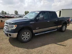 Salvage trucks for sale at Rocky View County, AB auction: 2014 Ford F150 Supercrew