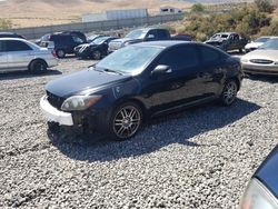 Salvage cars for sale at Reno, NV auction: 2010 Scion TC