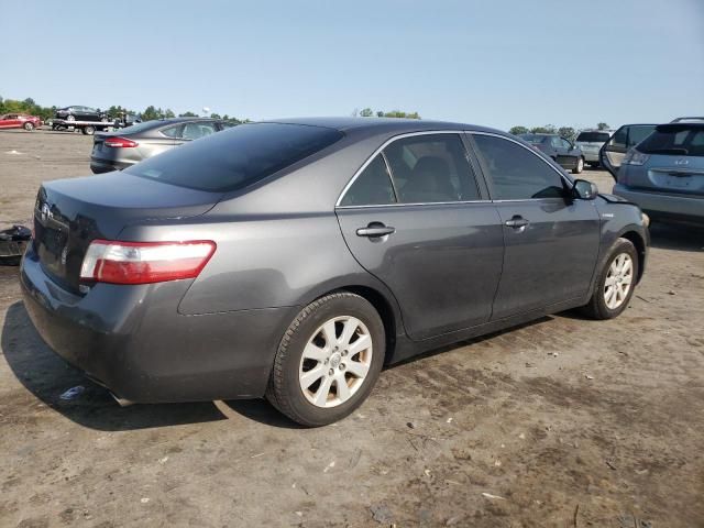 2009 Toyota Camry Hybrid