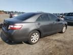 2009 Toyota Camry Hybrid