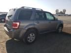 2010 Ford Escape Limited