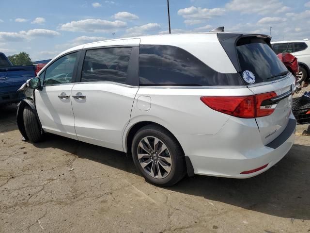 2023 Honda Odyssey EXL