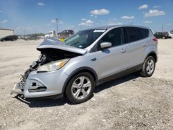 Salvage cars for sale at Temple, TX auction: 2016 Ford Escape SE