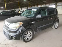 Salvage cars for sale at Phoenix, AZ auction: 2013 KIA Soul