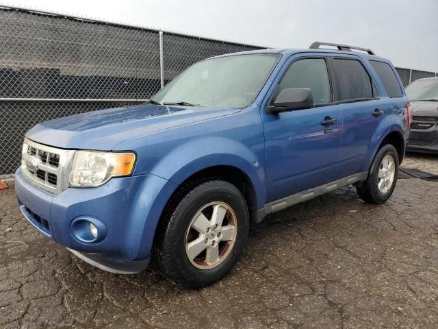 2009 Ford Escape XLT