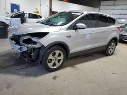 Salvage cars for sale at Blaine, MN auction: 2013 Ford Escape SE