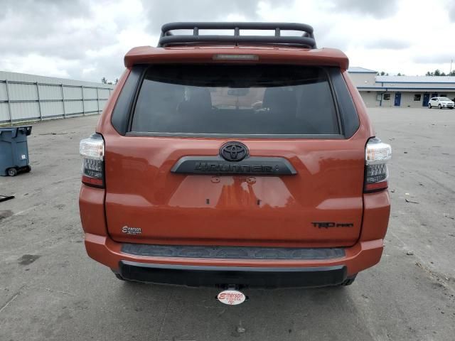 2024 Toyota 4runner SR5 Premium