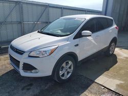 Ford salvage cars for sale: 2016 Ford Escape SE