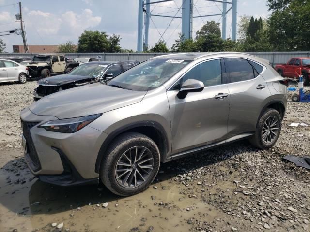 2024 Lexus NX 350 Premium